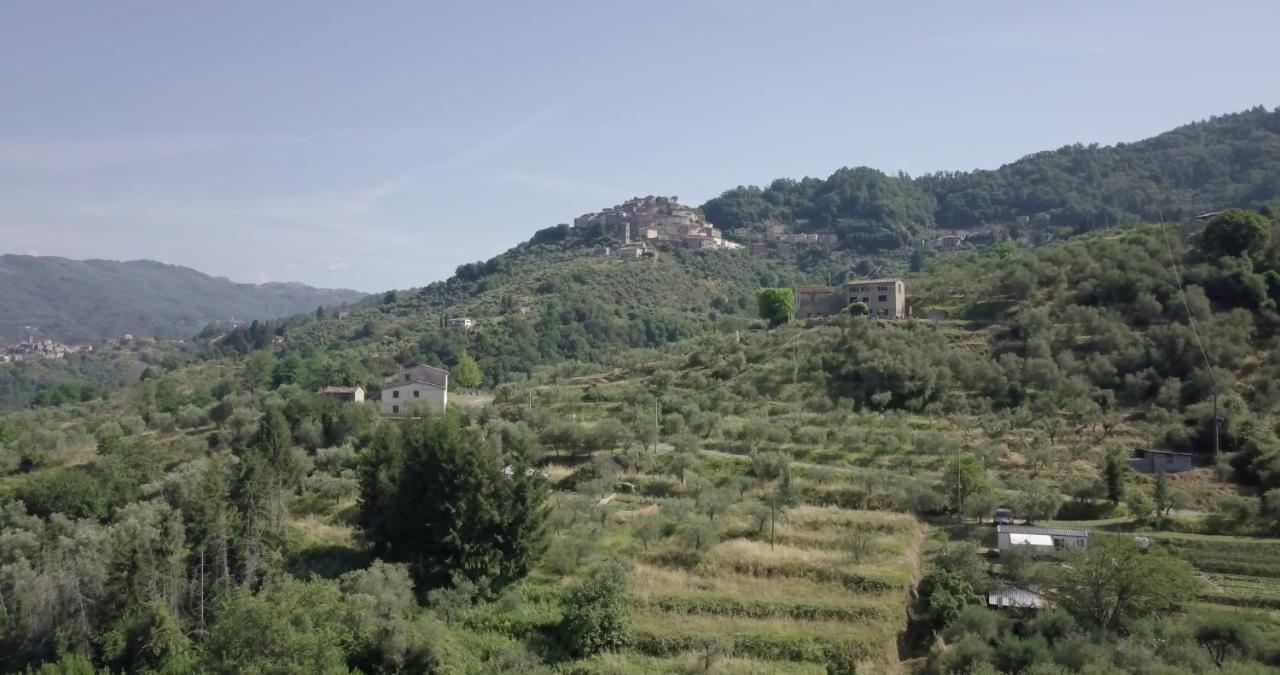 Luxury Villa In Tuscany - Casa Di Nonnas Пеша Екстериор снимка